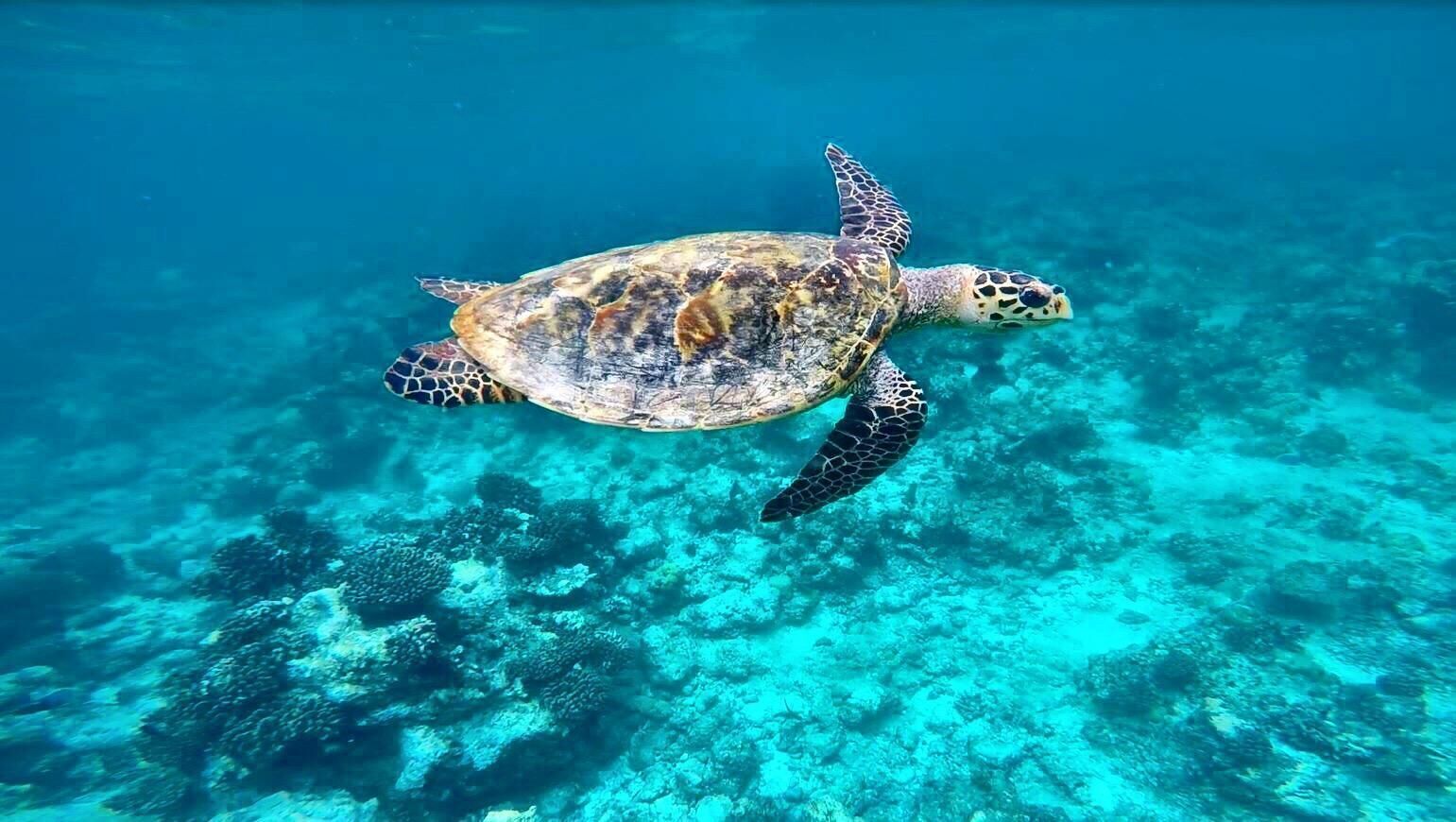 On the beach, white sand