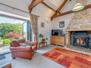 TV, fireplace - 2 bedroom accommodation in Taliaris, near Llandeilo (Taliaris, near Llandeilo)