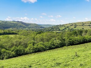 Miscellaneous - 2 bedroom accommodation in Taliaris, near Llandeilo (Taliaris, near Llandeilo)