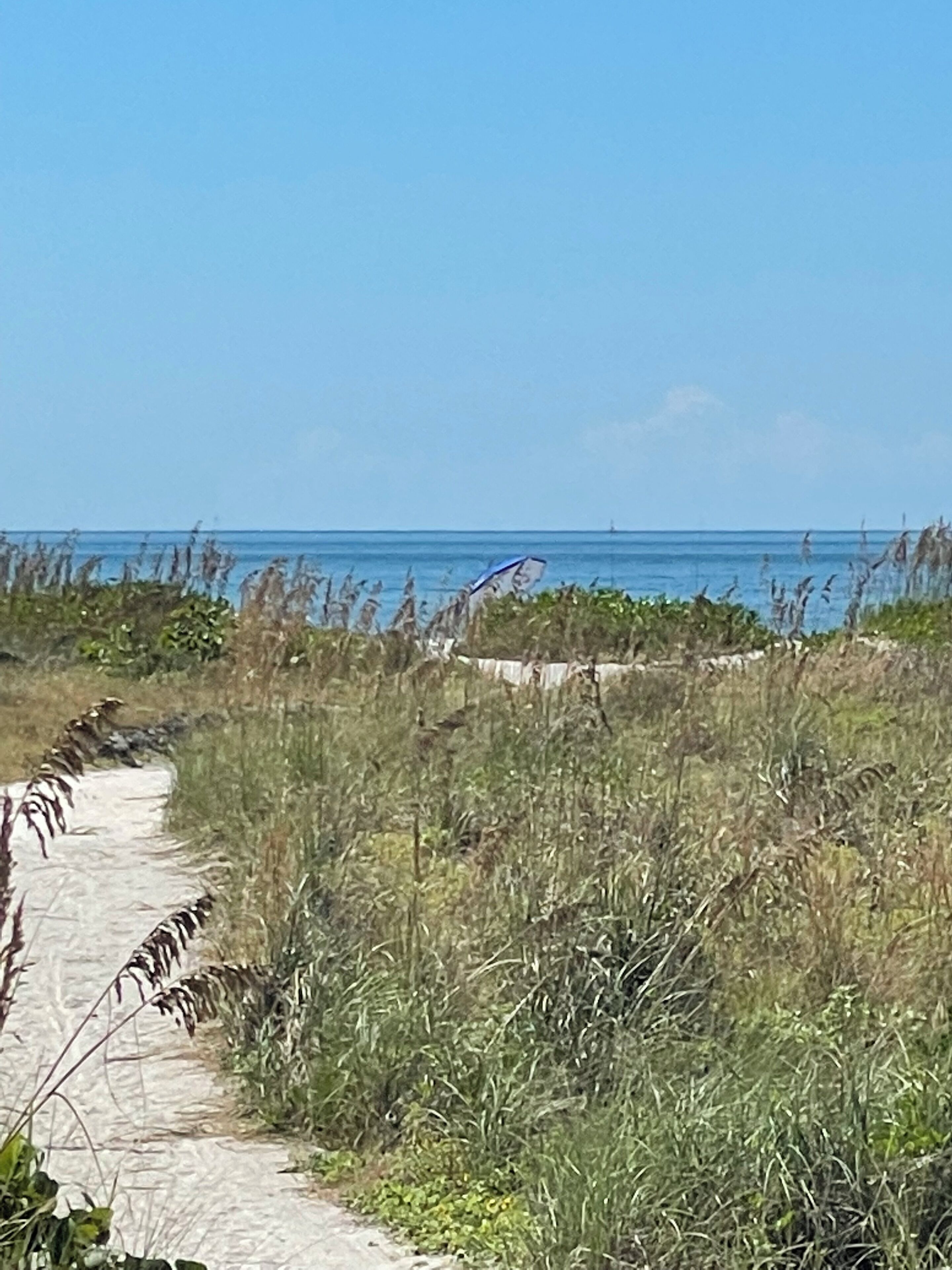 Un sentier qui mène à une plage bordée d’herbes hautes et sous un ciel bleu clair.
