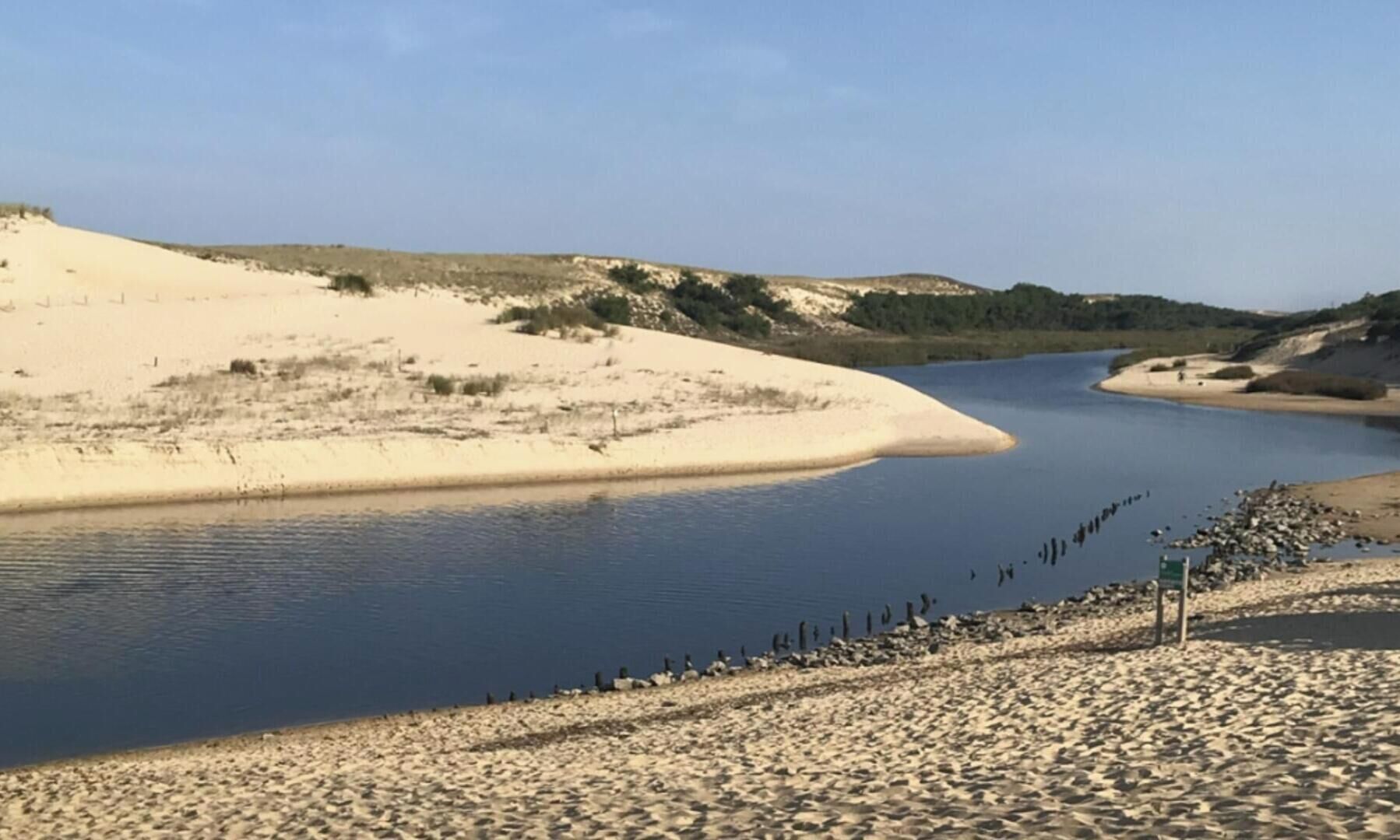 A river with sandy banks and a clear sky.