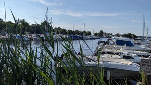Un puerto deportivo con barcos amarrados, rodeado de pastos altos y árboles.