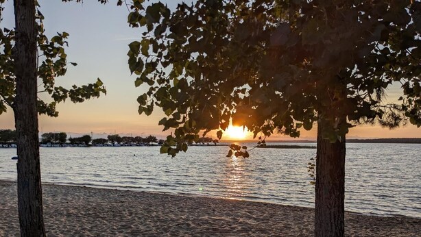 Una playa con árboles y una puesta de sol sobre el agua.