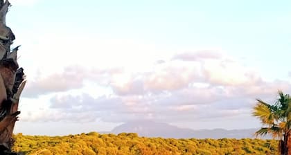 La Ballenita de Tarifa. Views of Africa, swimming pool 10 min walk to the beach