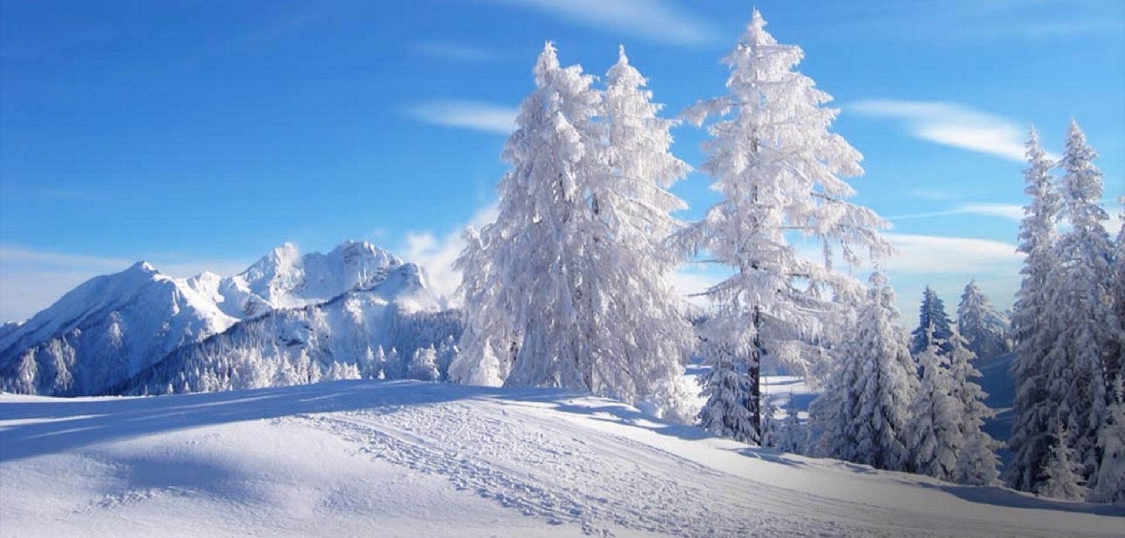 Snowy landscape in Park City