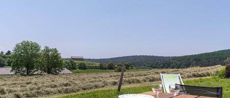 تناول الطعام بالخارج