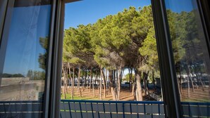 A window with a view of a tree-lined area, including a parking lot with cars. - Apartment with Sea View (TROPEA)