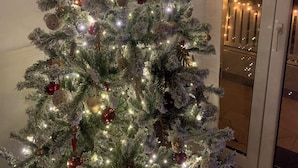 Un sapin de Noël décoré de guirlandes lumineuses et d’ornements, placé près d’une porte vitrée donnant sur l’extérieur.