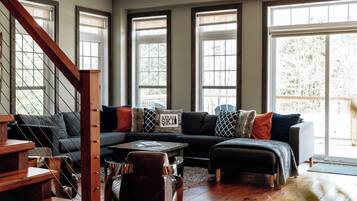 Televisión y chimenea