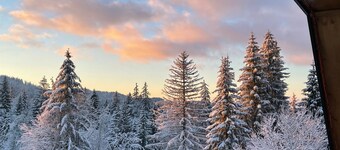 Cosy chalet in the heart of the Haut-Jura