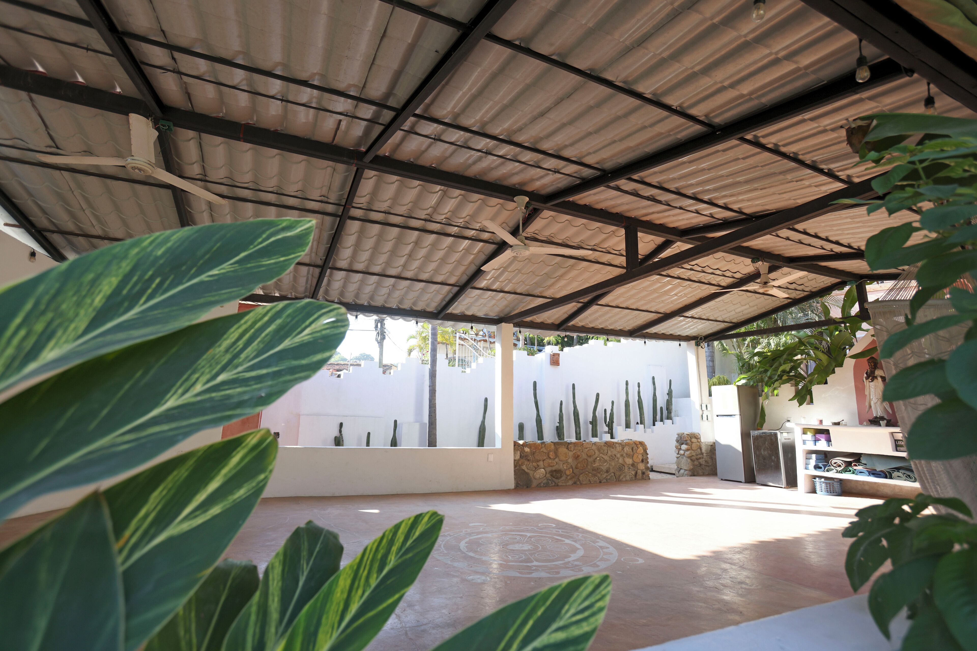 A covered outdoor area with a metal roof, cacti, and potted plants.
