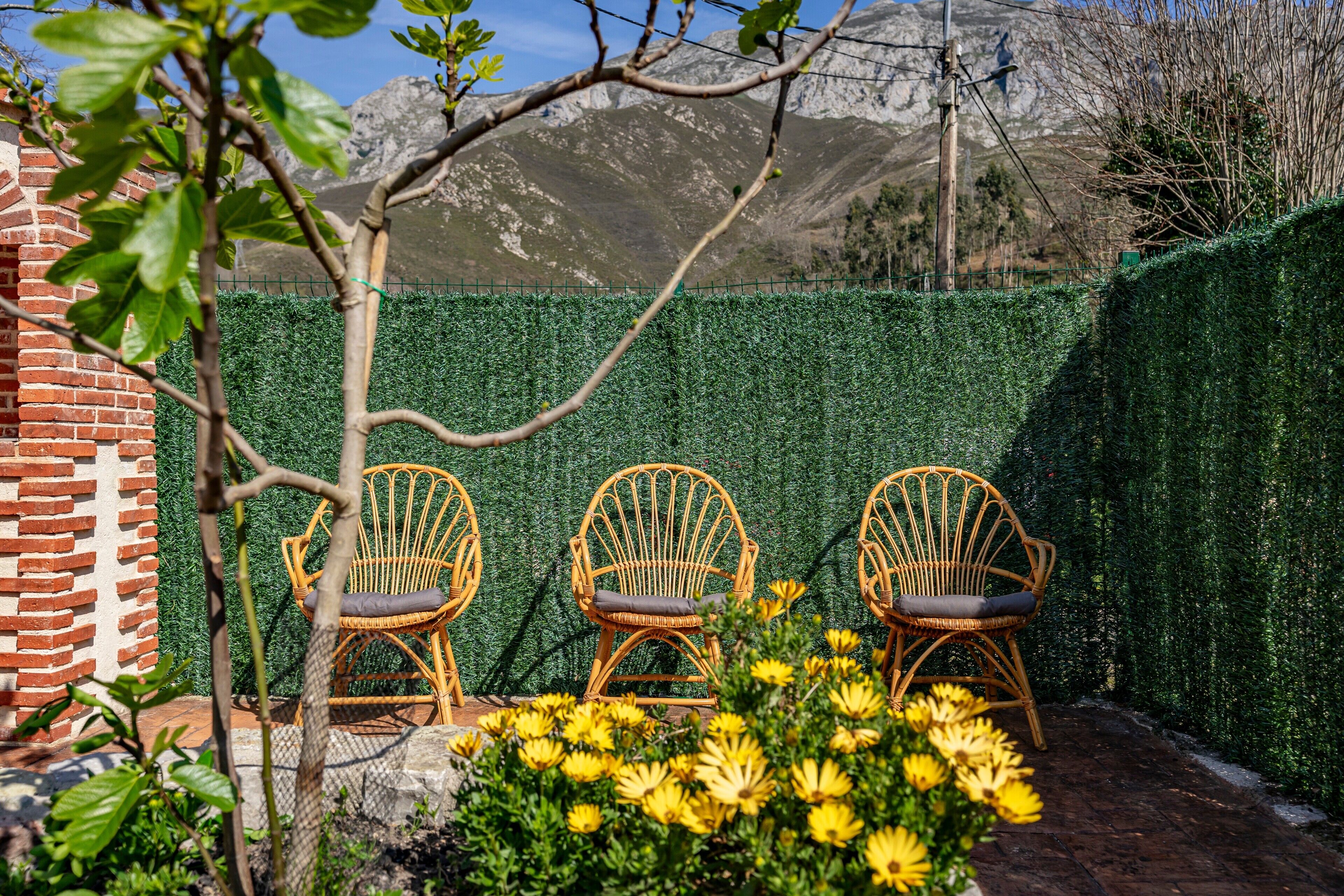 Un espace patio avec trois chaises en osier, un mur en briques et une haie.