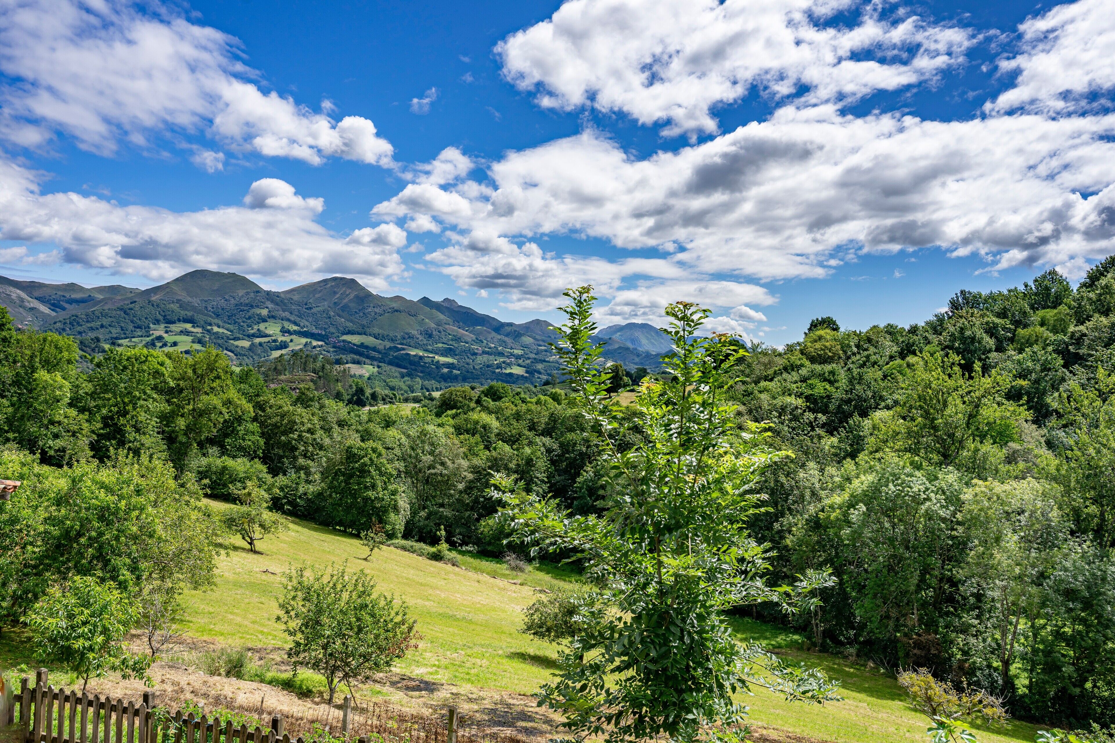 A mountainous landscape with a clear sky and lush greenery.