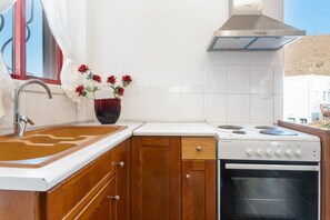 Fridge, oven, stovetop, coffee/tea maker