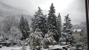 Un paysage enneigé avec une maison entourée d’arbres couverts de neige.