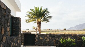 Un mur de pedra, una palmera i una vista d'una vinya.