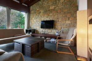 Televisor i llar de foc 