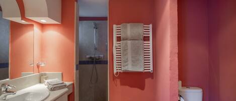 Un baño con lavabo, espejo, ducha e inodoro.