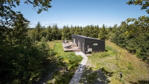 Une cabane moderne dotée d’une terrasse, entourée d’une forêt dense.