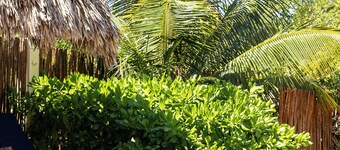 Charming Island Escape • Steps from the Beach • Tranquil Stay in Holbox • Mexico