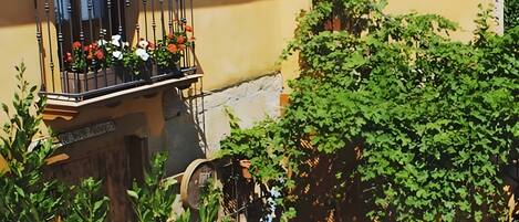 DĂ©tail de lâextĂ©rieur