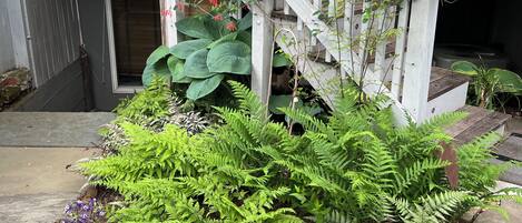 Details aan de buitenkant