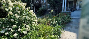 Elegantly furnished  4-bedroom townhome with decks, in Woodley Park, Wash. DC