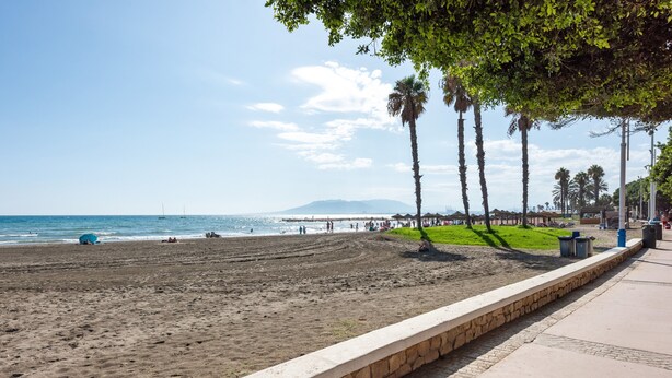 A beach with a stone wall, palm trees, and a clear sky.