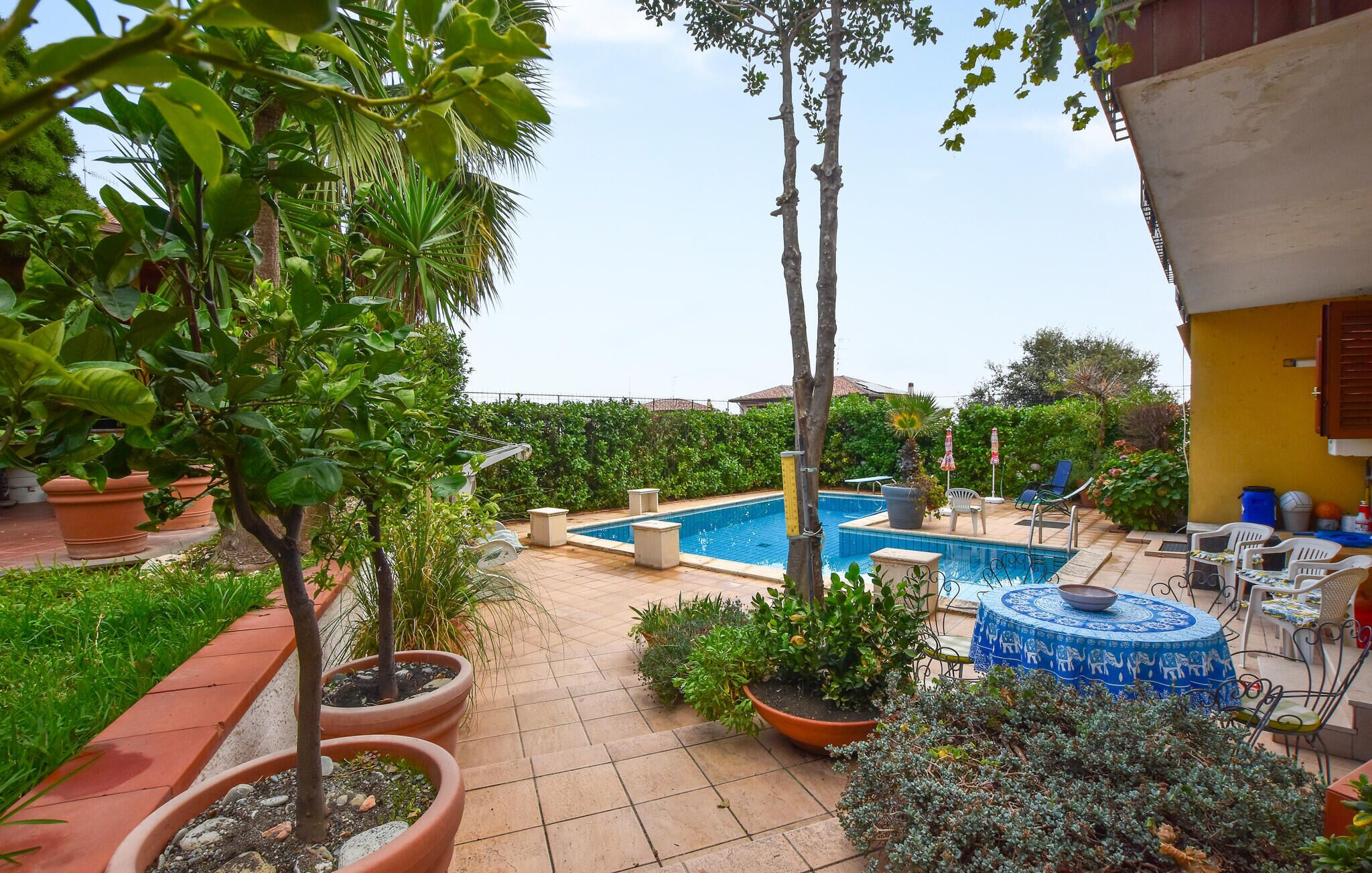 A pool area with a small pool, potted plants, and outdoor furniture.