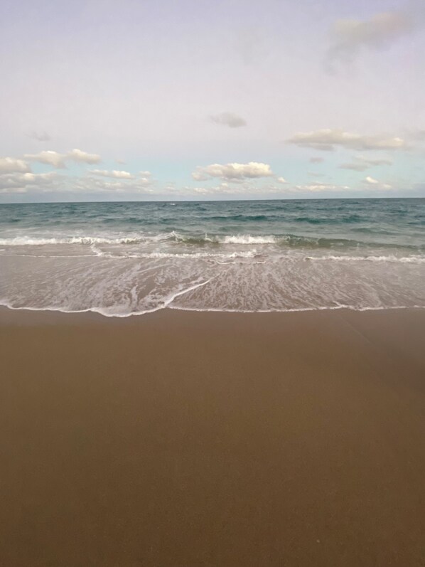 Beach towels - Guest Suite East Boca! Near Beach & Restaurants! Near FAU! Close to I-95! (Boca Raton)