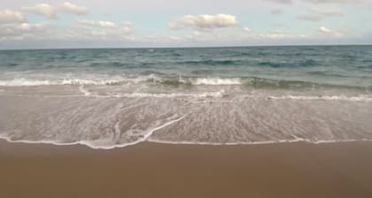 Guest Suite East Boca! Near Beach & Restaurants! Near FAU! Close to I-95!