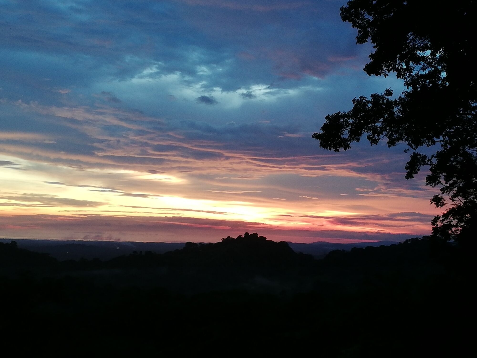 Un atardecer sobre un paisaje montañoso con siluetas de árboles y un cielo despejado.