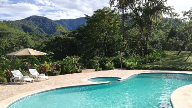 Ein Pool mit geschwungener Kante, umgeben von einer Terrasse mit Liegestühlen und einer Pergola.