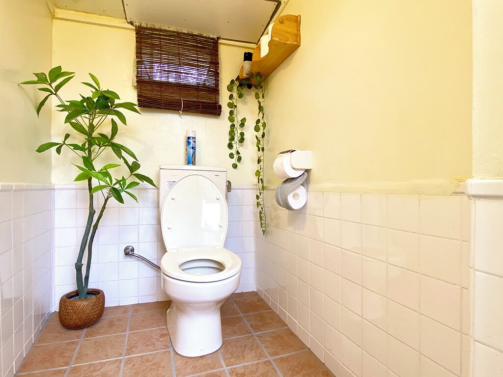 A small bathroom with a toilet, a potted plant, and a window with blinds.