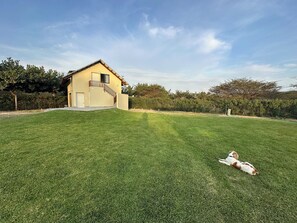 Exterior - Charming 2-bedroom cottage in Warm Chincha with WiFi and Pool (Chincha Baja)