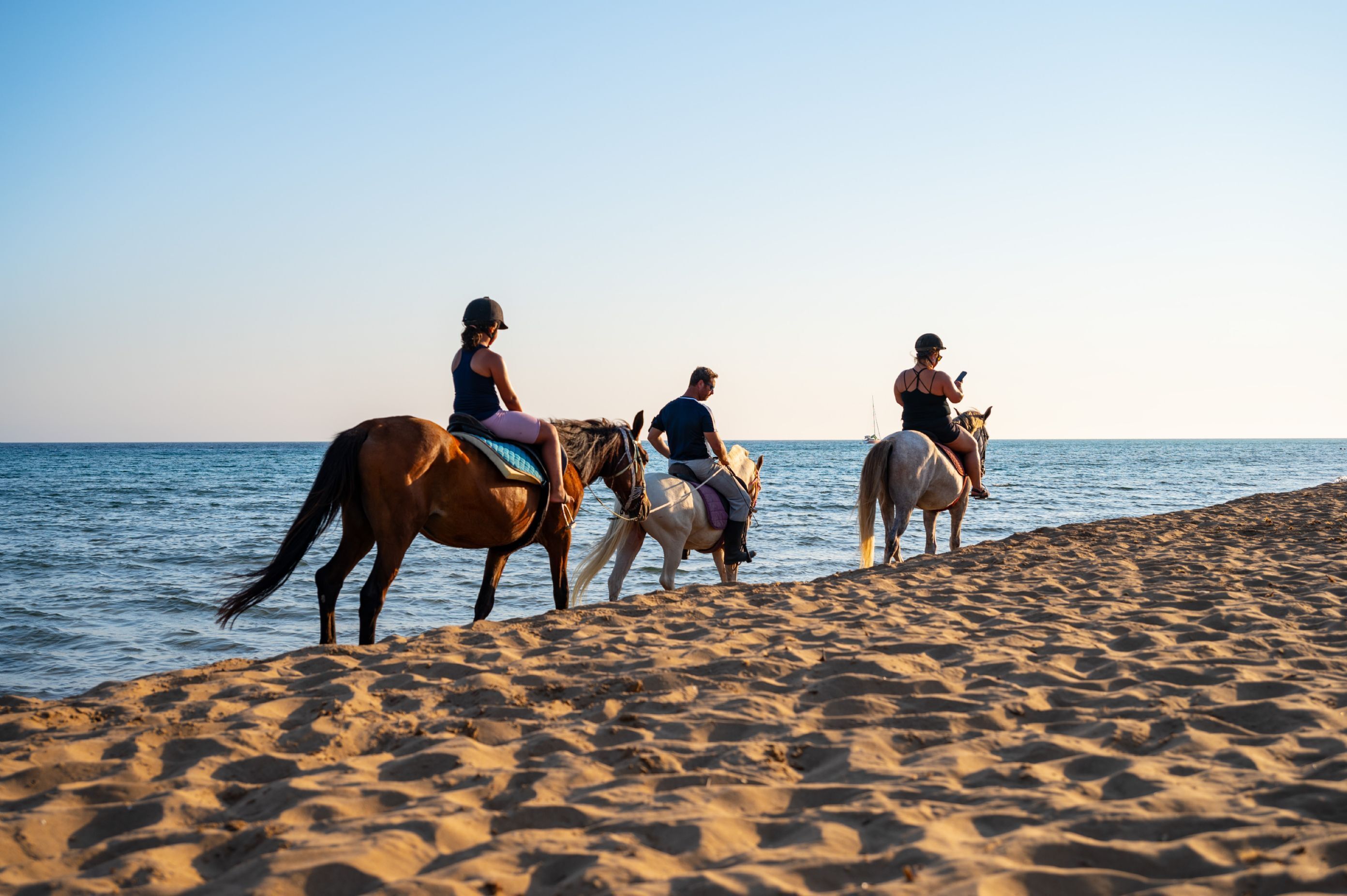 Ein Strand mit drei Pferden und Reitern.
