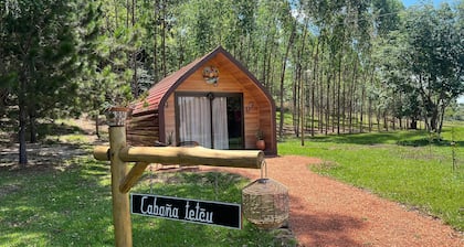 Cabaña Mi Querido Viejo