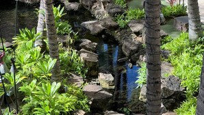 A small, rocky water feature surrounded by lush greenery and palm trees.