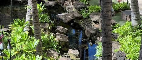 A small, rocky water feature surrounded by lush greenery and palm trees.