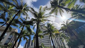 A tall building with a modern architectural design, surrounded by palm trees.