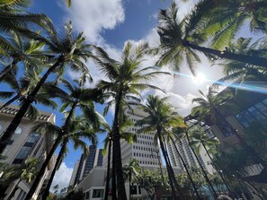 Exterior - FIRST CABIN INTERNATIONAL HAWAII (Honolulu)