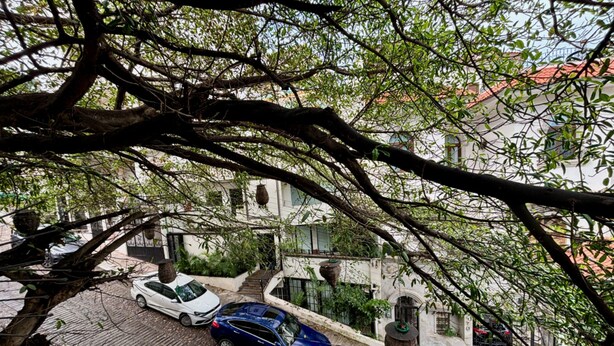 A street view with two parked cars, a building with a red roof, and a tree with hanging baskets.