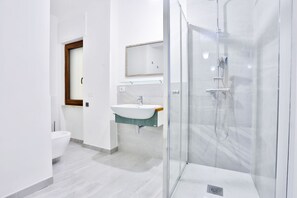 Shower, hair dryer, bidet, towels