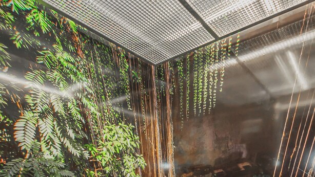 A modern indoor pool with a waterfall and lush greenery.