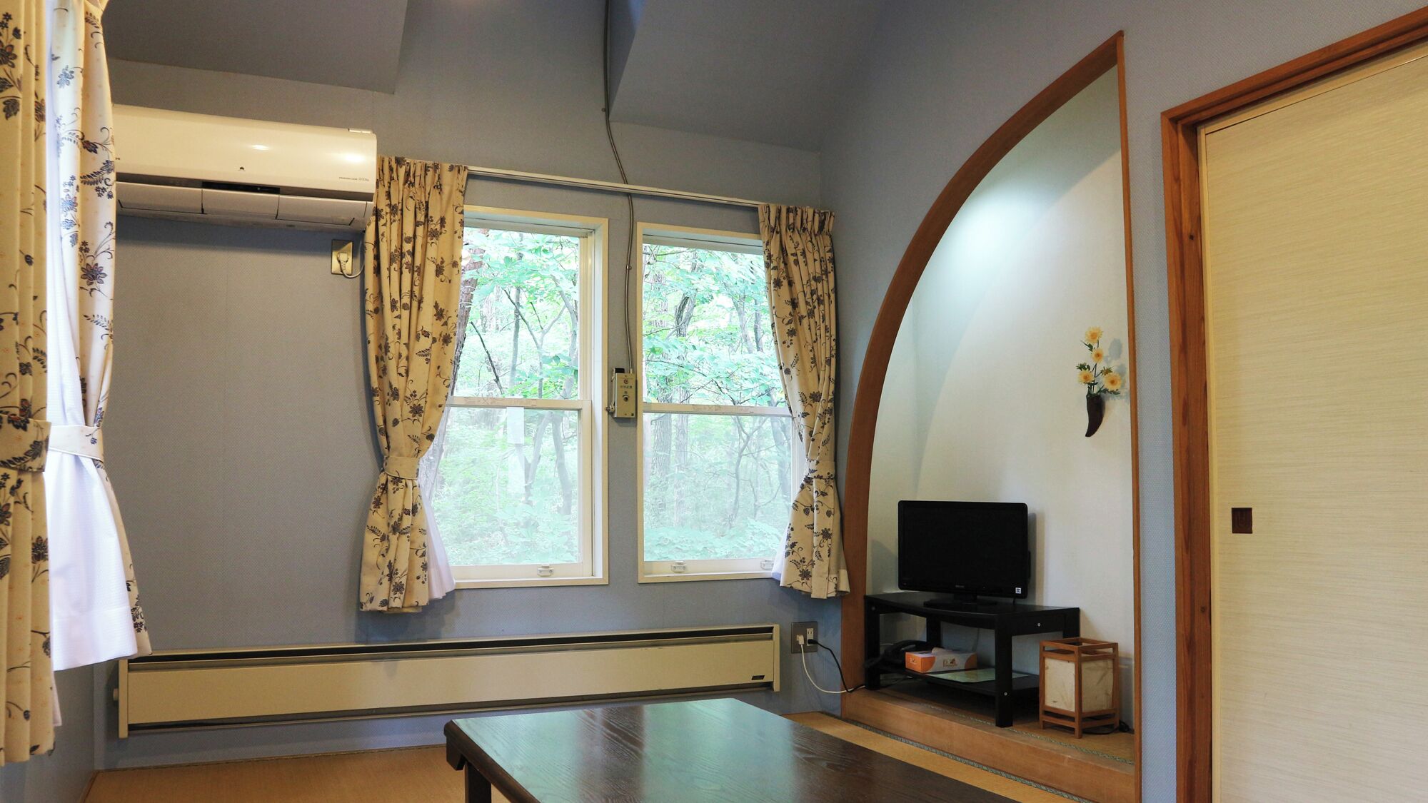 A room with two windows, a television on a stand, a heater, and a door.