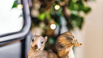 A small figurine of a squirrel on a green knitted surface.