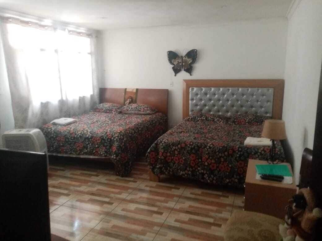 Une chambre avec deux lits, une décoration murale représentant des papillons, une lampe et un ventilateur.