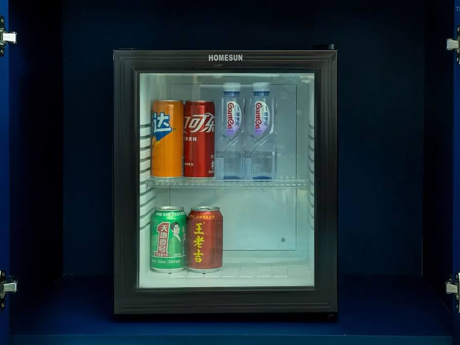 Mini-refrigerator