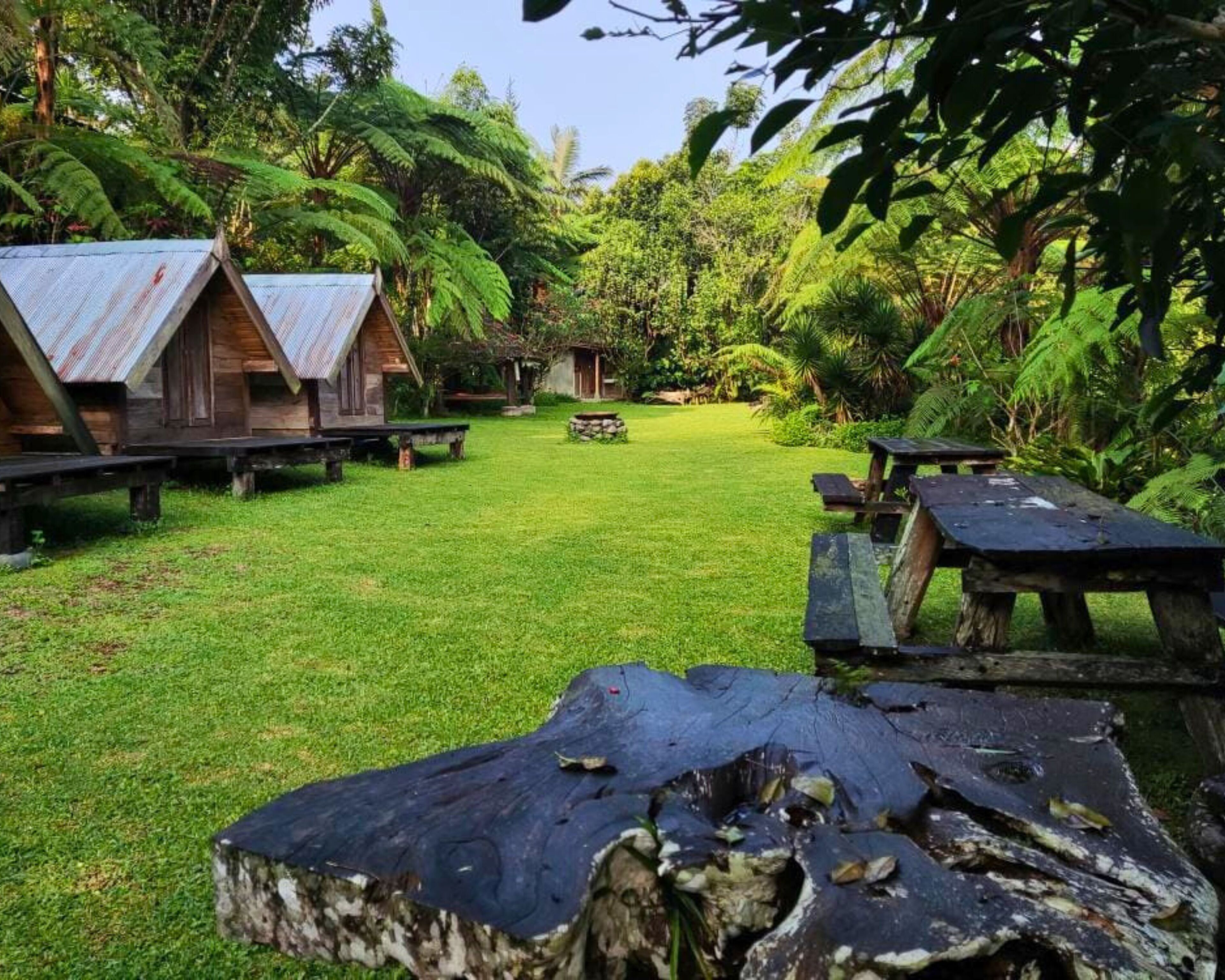 A campsite with wooden cabins and picnic tables in a lush, green environment.