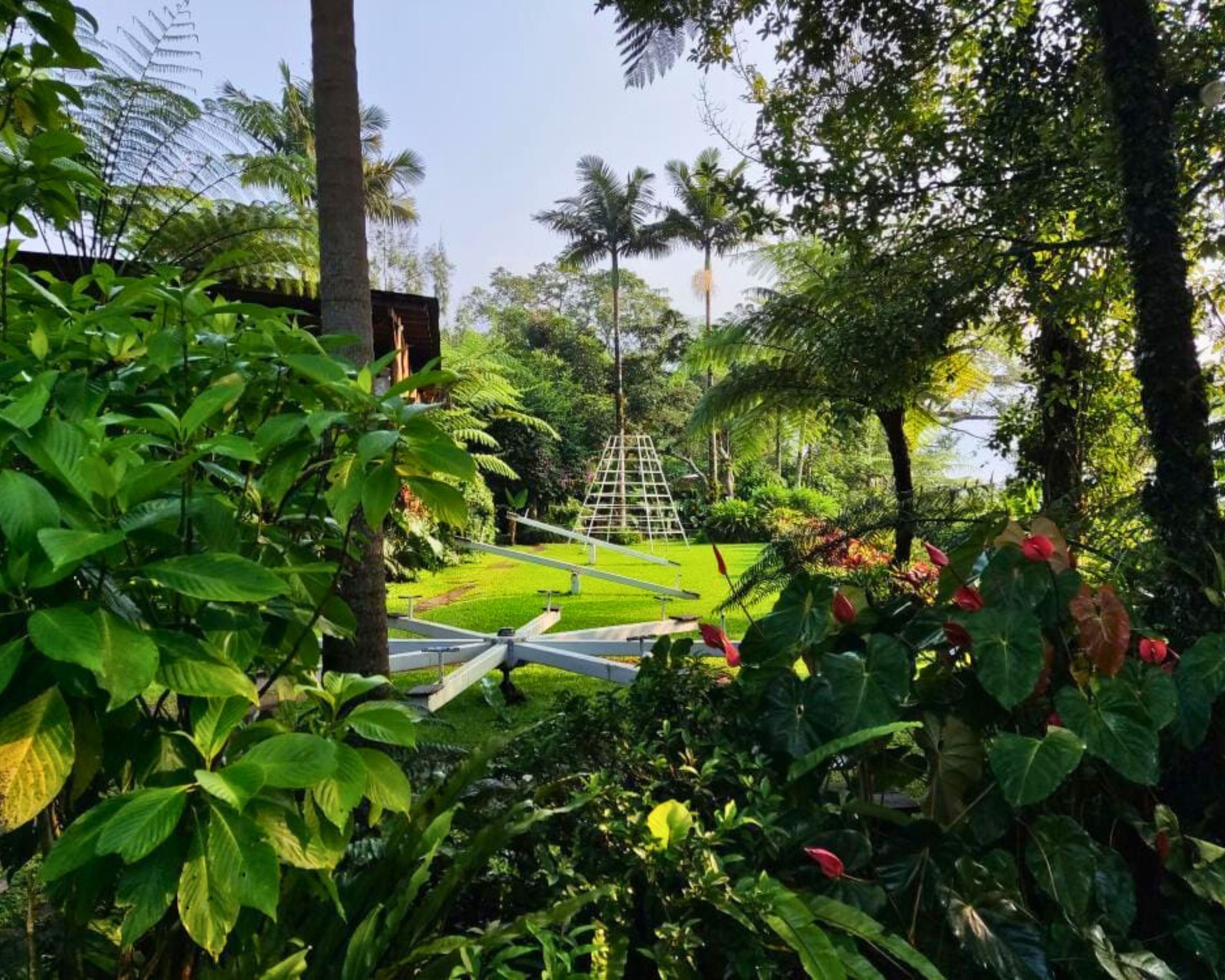 A lush garden with a variety of plants and trees, a white metal structure, and a clear sky.